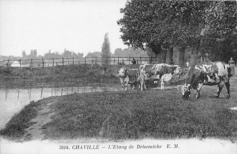Carte postale ancienne Chaville L'Etang De Brisemiche à Chaville