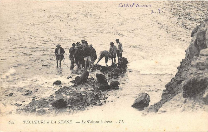 Carte postale ancienne Pecheurs A La Senne Le Poisson A Terre (dos non divisé)