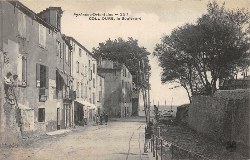 Carte postale ancienne Collioure Le Boulevard à Collioure