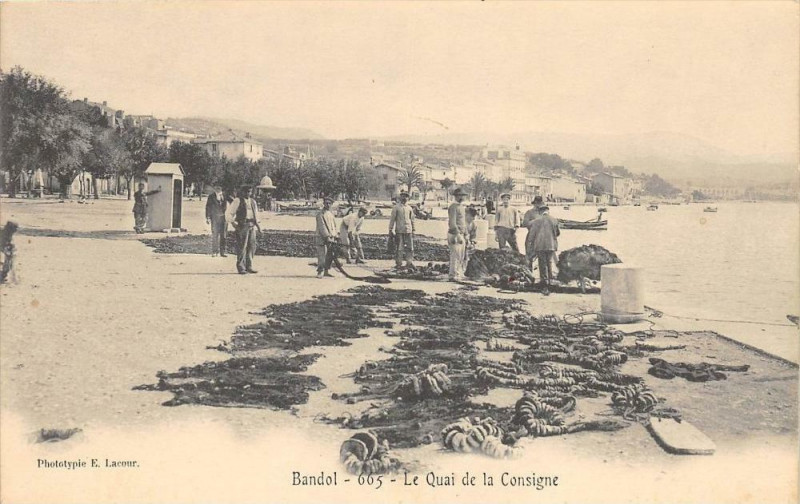 Carte postale ancienne Bandol Le Quai De La Consigne (dos non divisé) à Bandol