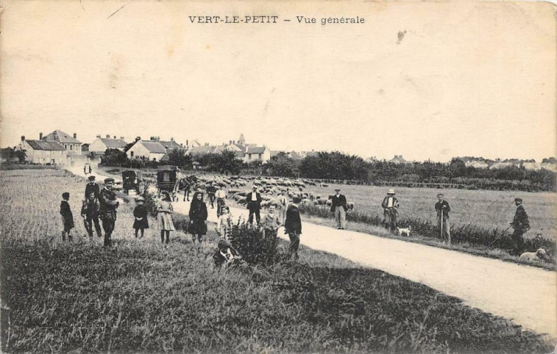 Carte postale ancienne Vert Le Petit Vue Generale à Vert-le-Petit