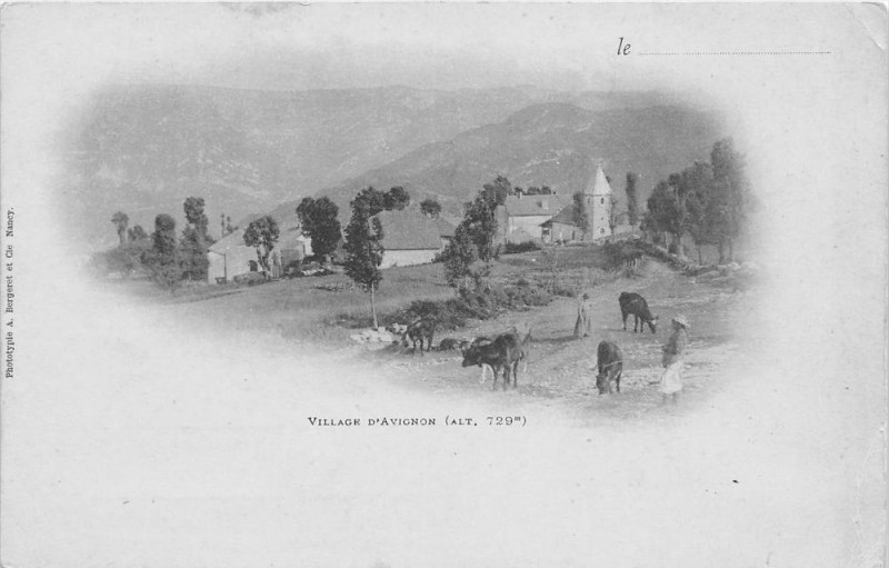 Carte postale ancienne Village D'Avignon (dos non divisé)