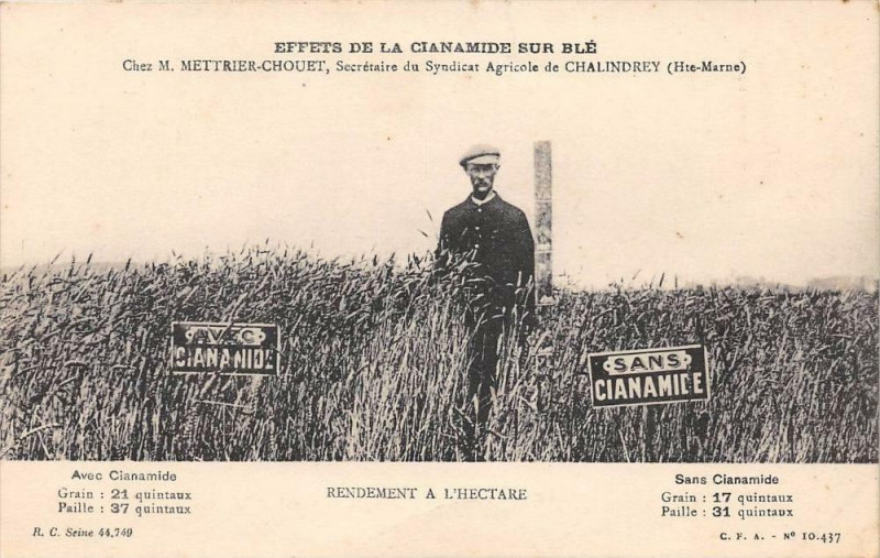 Carte postale ancienne Chalindrey Effets De La Cianamide Sur Ble Rendement A L'Hectare Chez M.me à Chalindrey