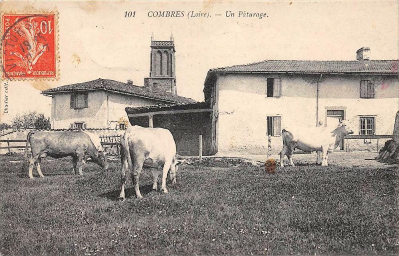 Carte postale ancienne Combres Un Paturage à Combre