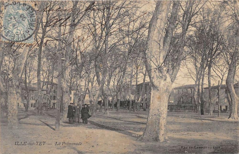 Carte postale ancienne Ille Sur Tet La Promenade (cliché pas courant à Ur
