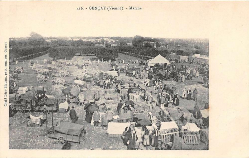 Carte postale ancienne Gencay Marche à Gençay