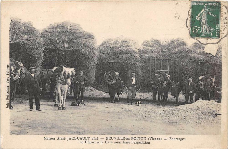 Carte postale ancienne Neuville De Poitou Maison Aime Jacquault Aine Fourrages Le Depart A La Ga à Neuville-de-Poitou