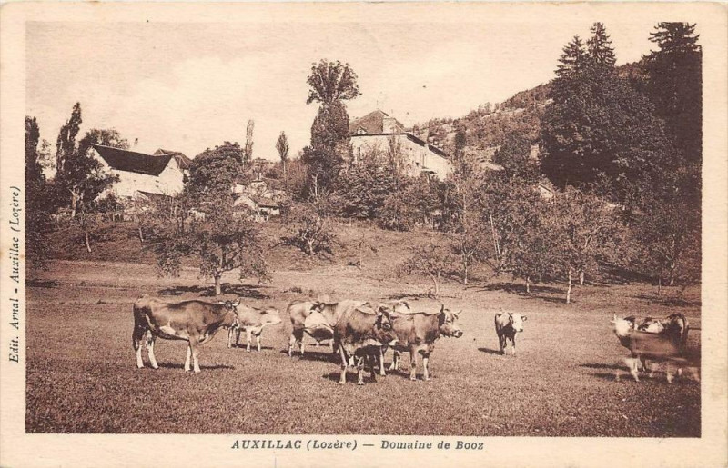 Carte postale ancienne Auxillac Domaine De Booz (cpa très rare!!