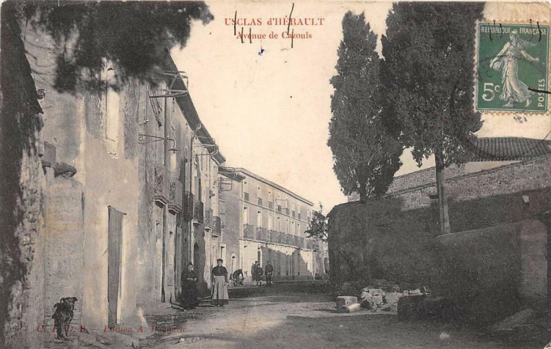 Carte postale ancienne Usclas D'Herault Avenue De Cazouls