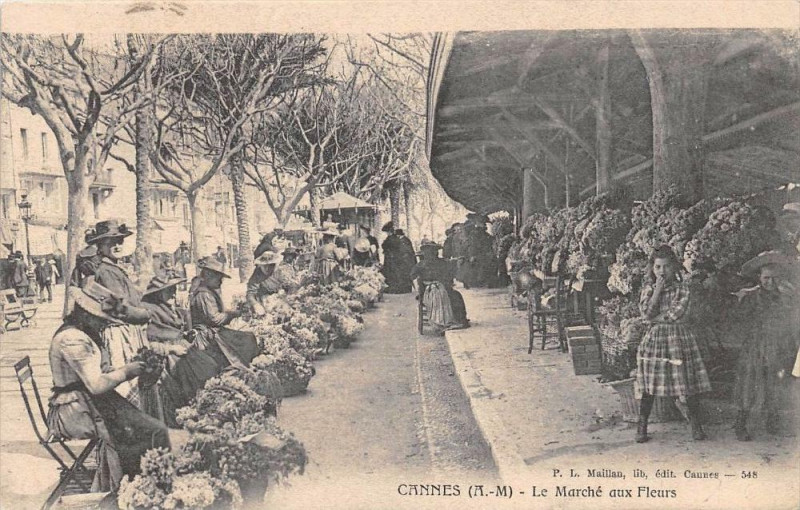 Carte postale ancienne Cannes Le Marche Aux Fleurs à Cannes