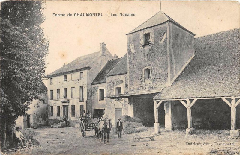 Carte postale ancienne Ferme De Chaumontel Les Nonains à Chaumontel