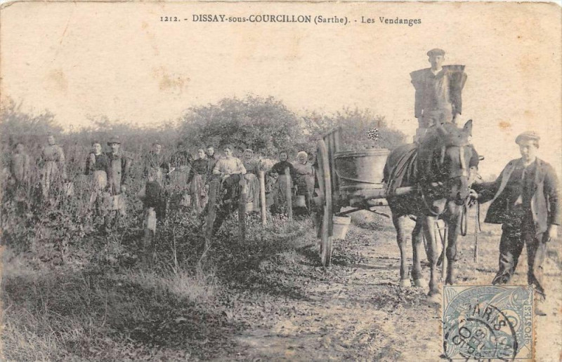 Carte postale ancienne Dissay Sous Courcillon Les Vendanges (cpa pas courante à Dissay-sous-Courcillon
