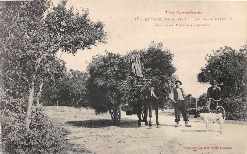 Carte postale ancienne Estagel Col De La Bataille Route De Millas A Estagel (Attelage à Estagel