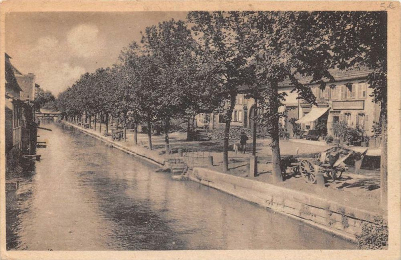 Carte postale ancienne Diemeringen Rue De L'Eglise à Diemeringen