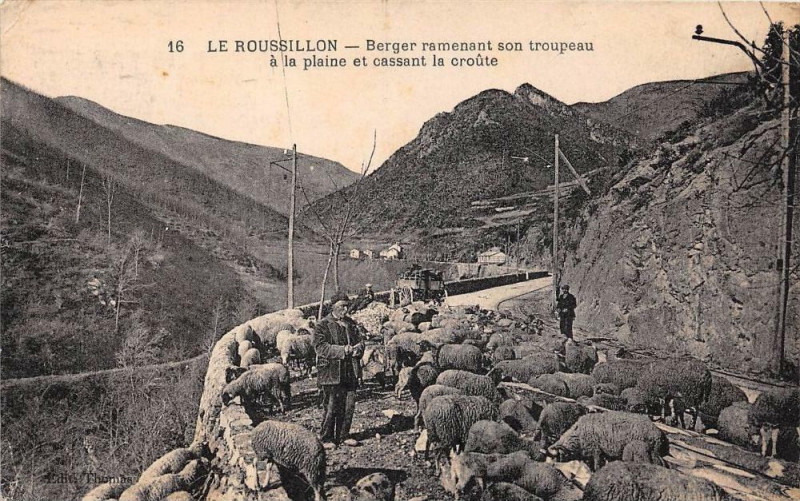 Carte postale ancienne Le Roussillon Berger Ramenant Son Troupeau A La Plaine Et Cassant La Crou à Llo