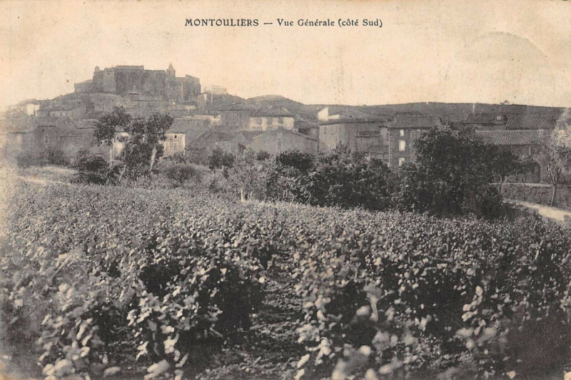 Carte postale ancienne Montouliers Vue Generale Cote Sud à Montouliers