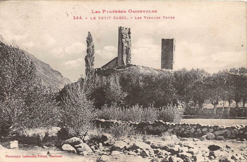 Carte postale ancienne Le Petit Carol Vieilles Tours (frais de port offert à Ur