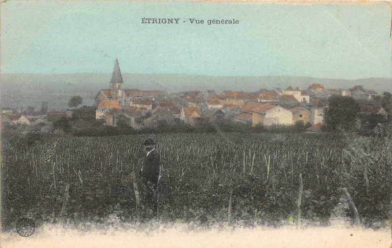 Carte postale ancienne Etrigny Vue Generale à Étrigny