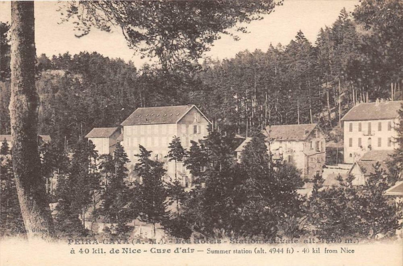 Carte postale ancienne Peira Cava Les Hotels