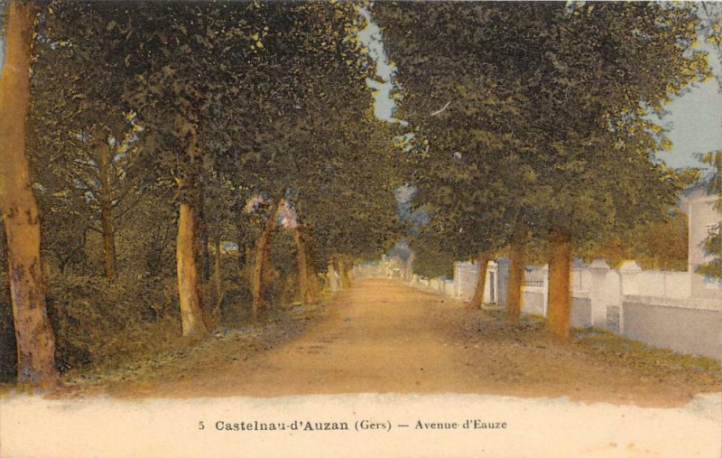 Carte postale ancienne Castelnau D´AUZAN Avenue D'Eauze à Eauze