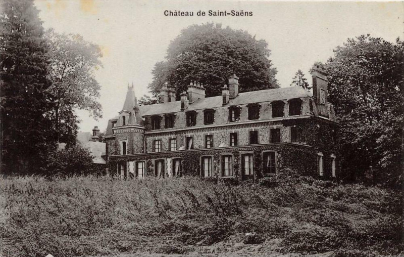 Carte postale ancienne Saint Saens Chateau (cpa glacée