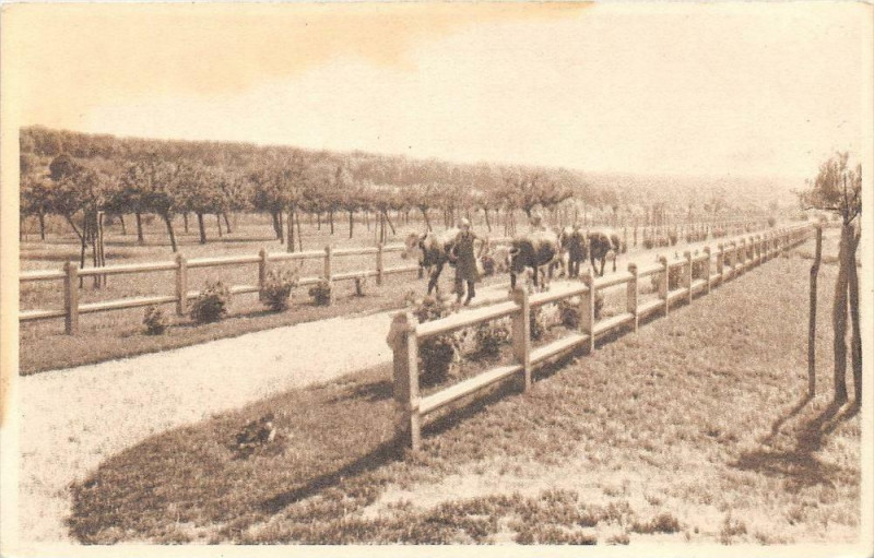 Carte postale ancienne Ecole Horticulture Pressoirs Du Roy Les Vergers