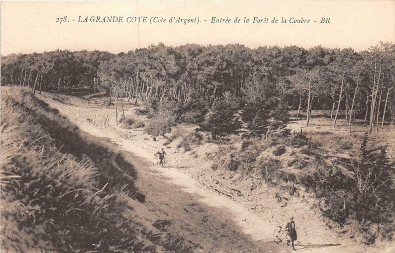 Carte postale ancienne La Grande Cote Entree De La Foret De Chambre