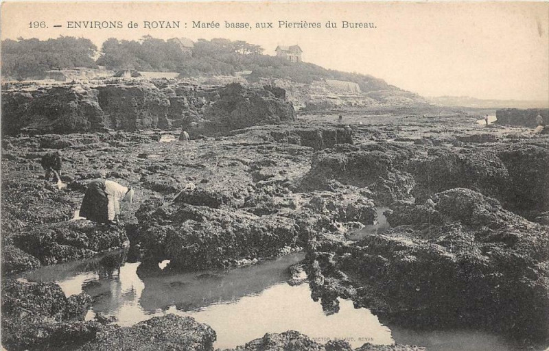 Carte postale ancienne Environs Royan Maree Basse Aux Pierrieres Du Bureau à Royan