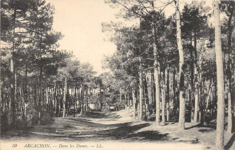Carte postale ancienne Arcachon Dans Les Dunes à Arcachon