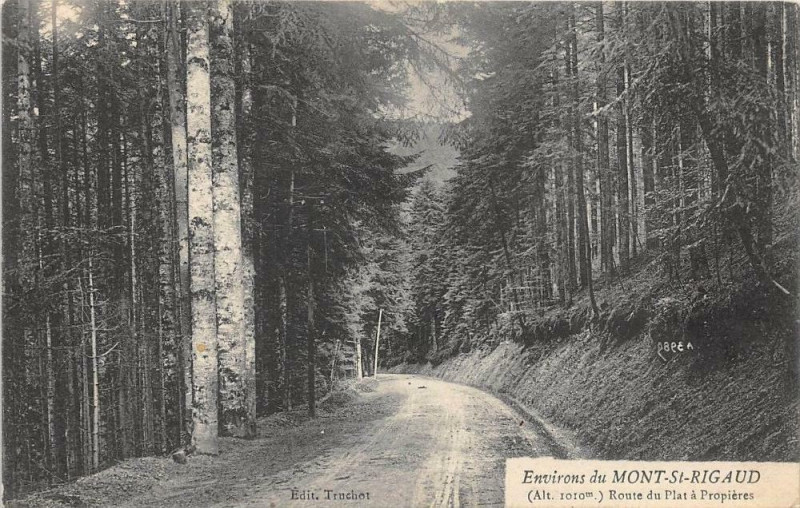 Carte postale ancienne Environs Mont Saint-Rigaud Route Du Plat A Proprieres