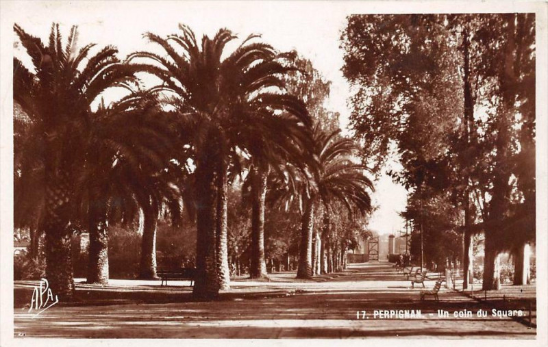 Carte postale ancienne Perpignan Un Coin Du Square à Perpignan