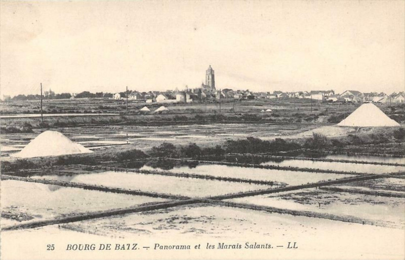 Carte postale ancienne Bourg De Batz Panorama Et Les Marais Salantqs