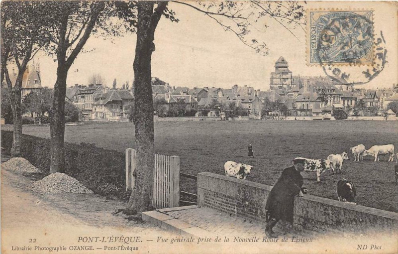 Carte postale ancienne Pont L'Eveque Vue Generale Prise De La Nouvelle Route De Lisieux à Lisieux