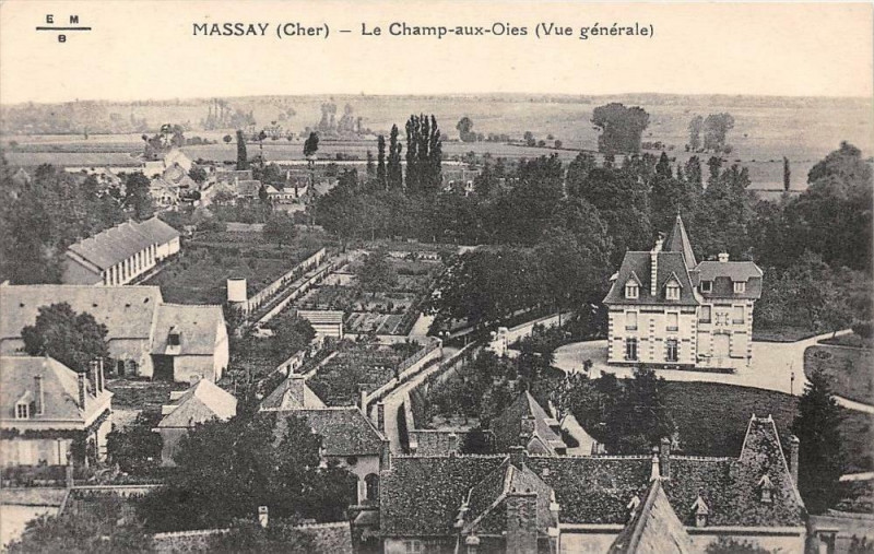Carte postale ancienne Massay Champs Aux Oies à Massay