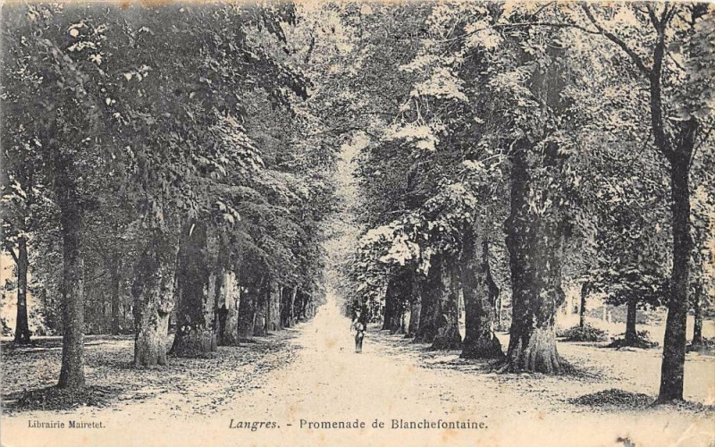 Carte postale ancienne Langres Promenade De Blanchefontaine à Langres