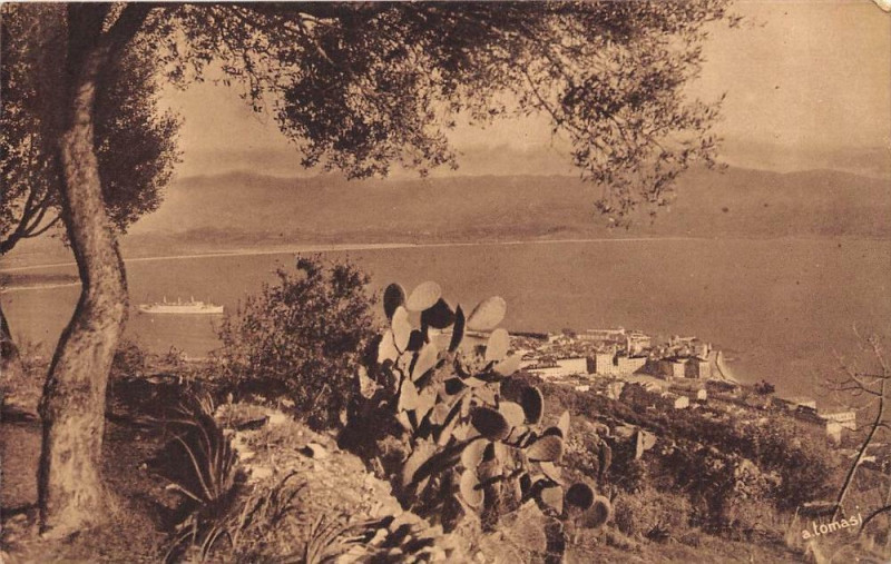 Carte postale ancienne 20 Corse Ajaccio à Ajaccio