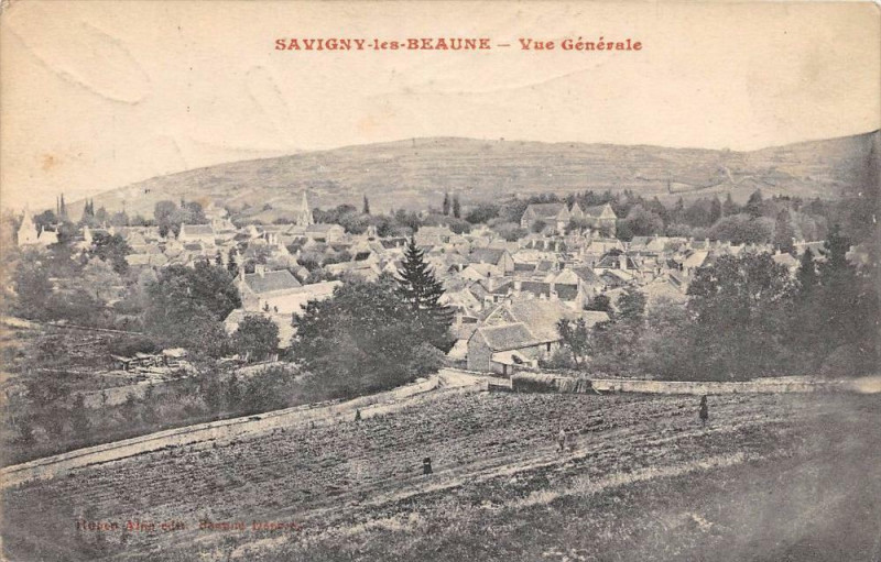 Carte postale ancienne 21 Savigny Les Beaune Vue Generale