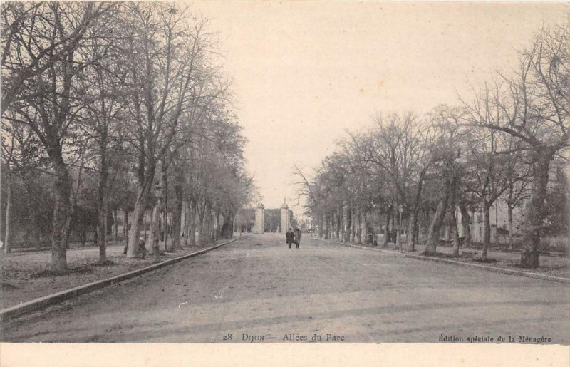 Carte postale ancienne Dijon Allee Du Parc à Dijon