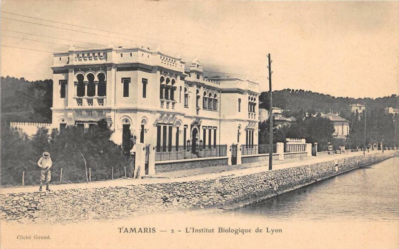 Carte postale ancienne Tamaris L'Institut Biologique De Lyon