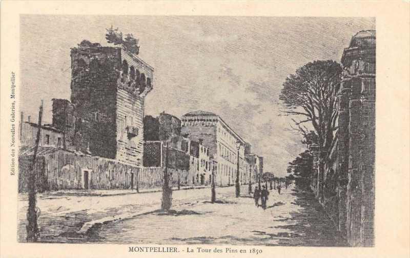 Carte postale ancienne Montpellier La Tour Des Pins (dos non divisé) à Montpellier
