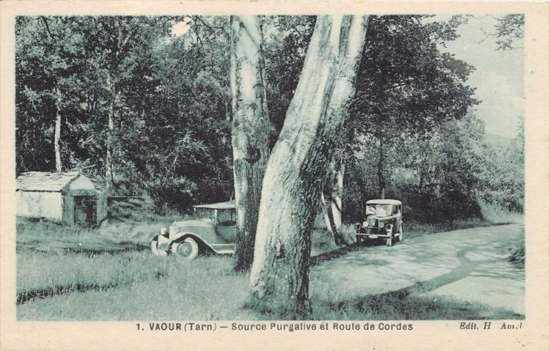 Carte postale ancienne Vaour Source Purgative Et Route De Cordes à Vaour