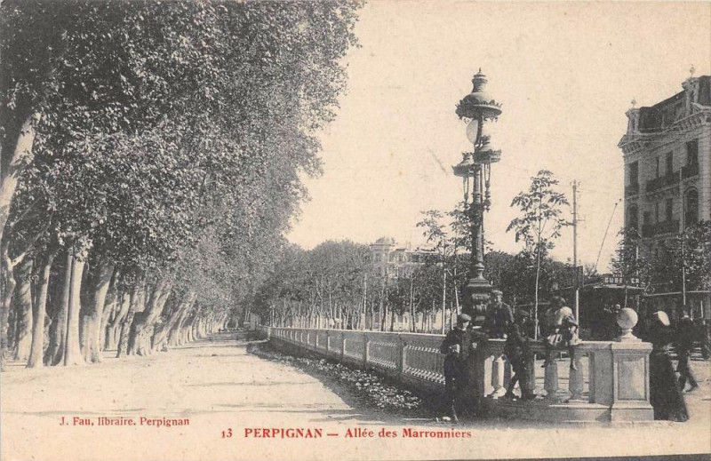 Carte postale ancienne Perpignan Allee Des Marronniers à Perpignan