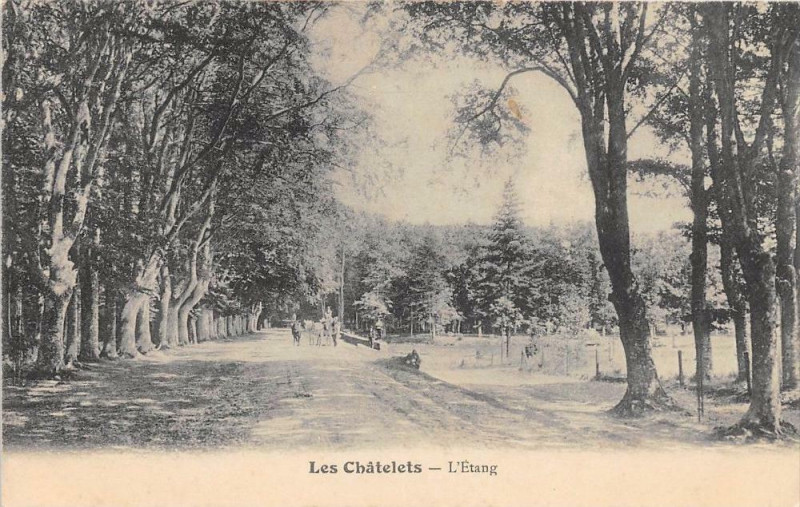 Carte postale ancienne Les Chatelets L'Etang