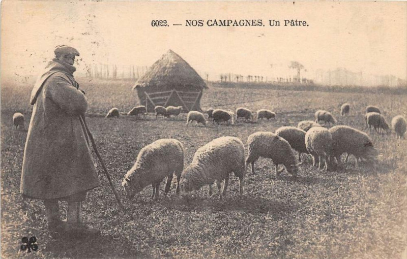 Carte postale ancienne Nos Campagnes Un Patre