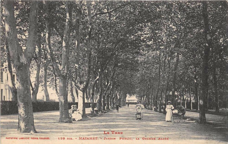 Carte postale ancienne Mazamet Jardin Public La Grande Allee à Mazamet