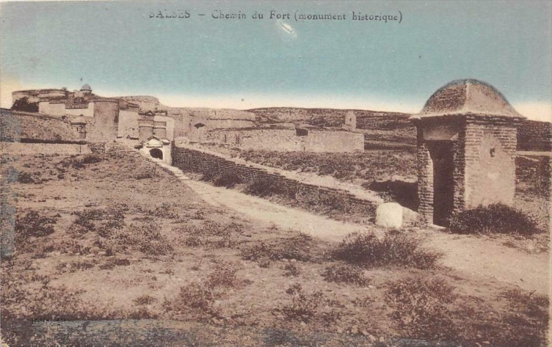 Carte postale ancienne Salses Chemin Du Fort
