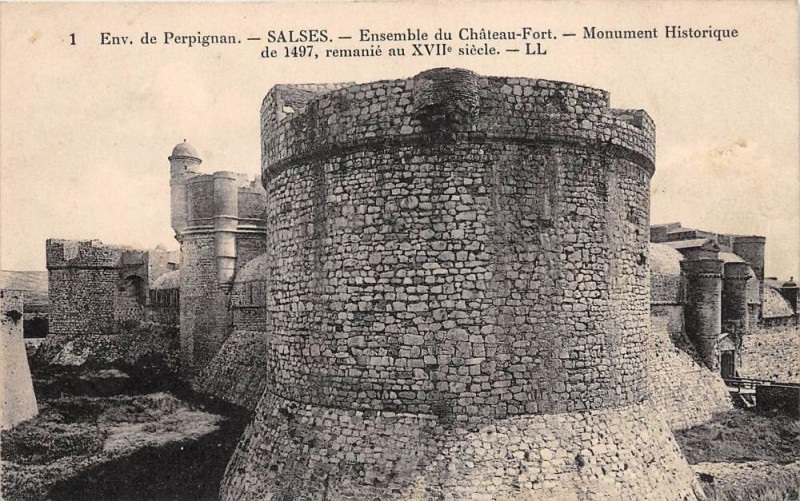 Carte postale ancienne Salses Ensemble Du Chateau Fort