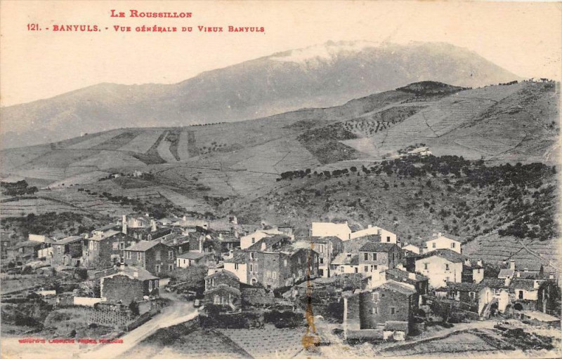 Carte postale ancienne Banyuls Vue Generale Du Vieux Banyuls