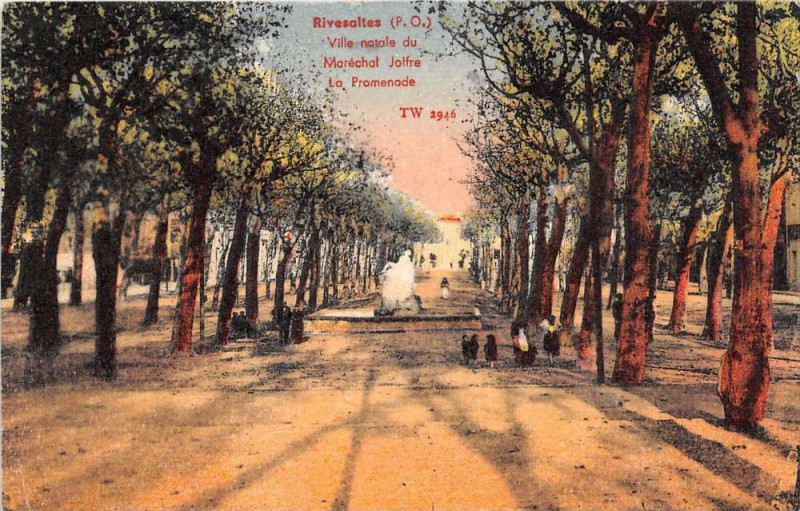 Carte postale ancienne Rivesaltes La Promenade à Rivesaltes