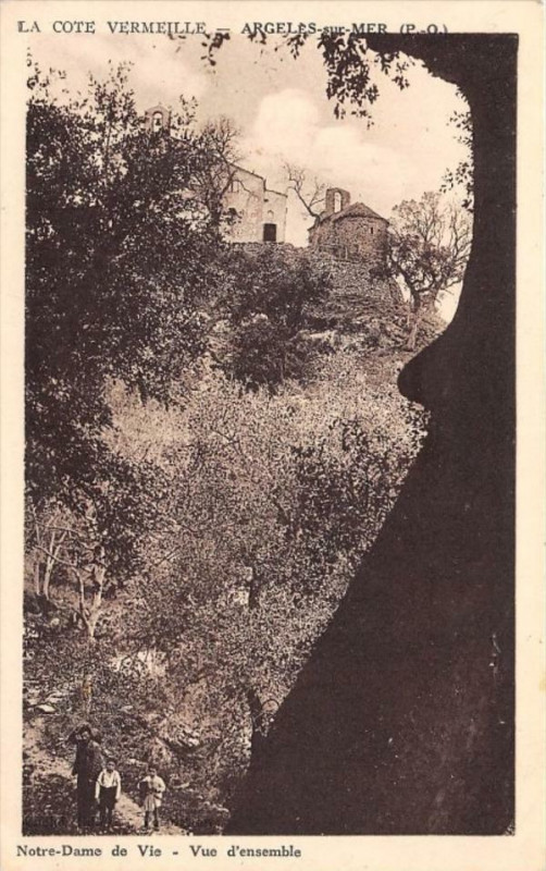 Carte postale ancienne Argeles Sur Mer La Plage Et La Montagne à Ur